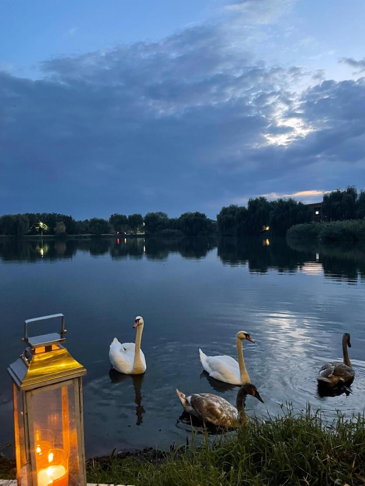 Therme - Corbeanca By The Lake Luxury Villa Kültér fotó